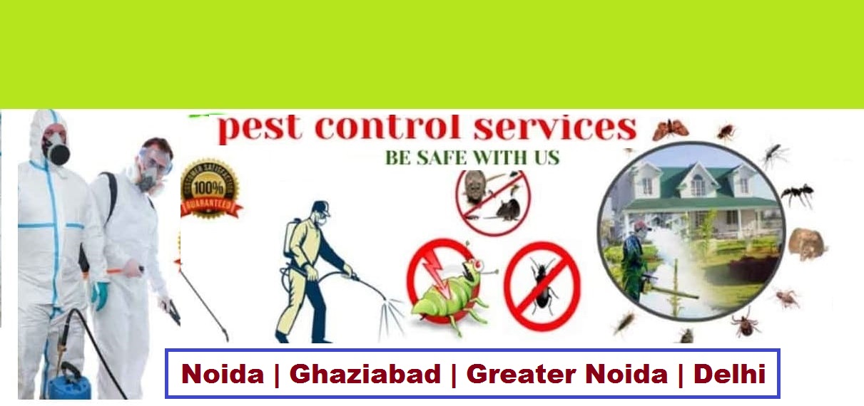 Termite Pest Control Services